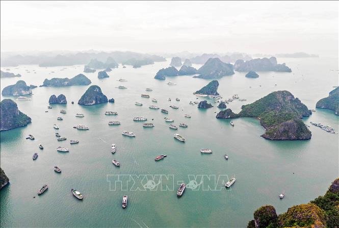 Quảng Ninh: Tặng 1.000 vé du thuyền tham quan vịnh Hạ Long tri ân người giữ nước - Ảnh 1.