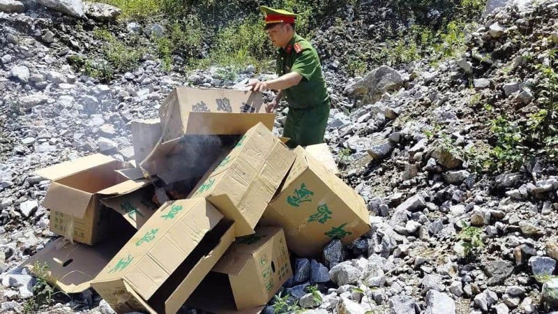 Η αστυνομία της κοινότητας Can Ty, στην επαρχία Tuyen Quang, κατέστρεψε 10.000 λαθραία αυγά κότας.