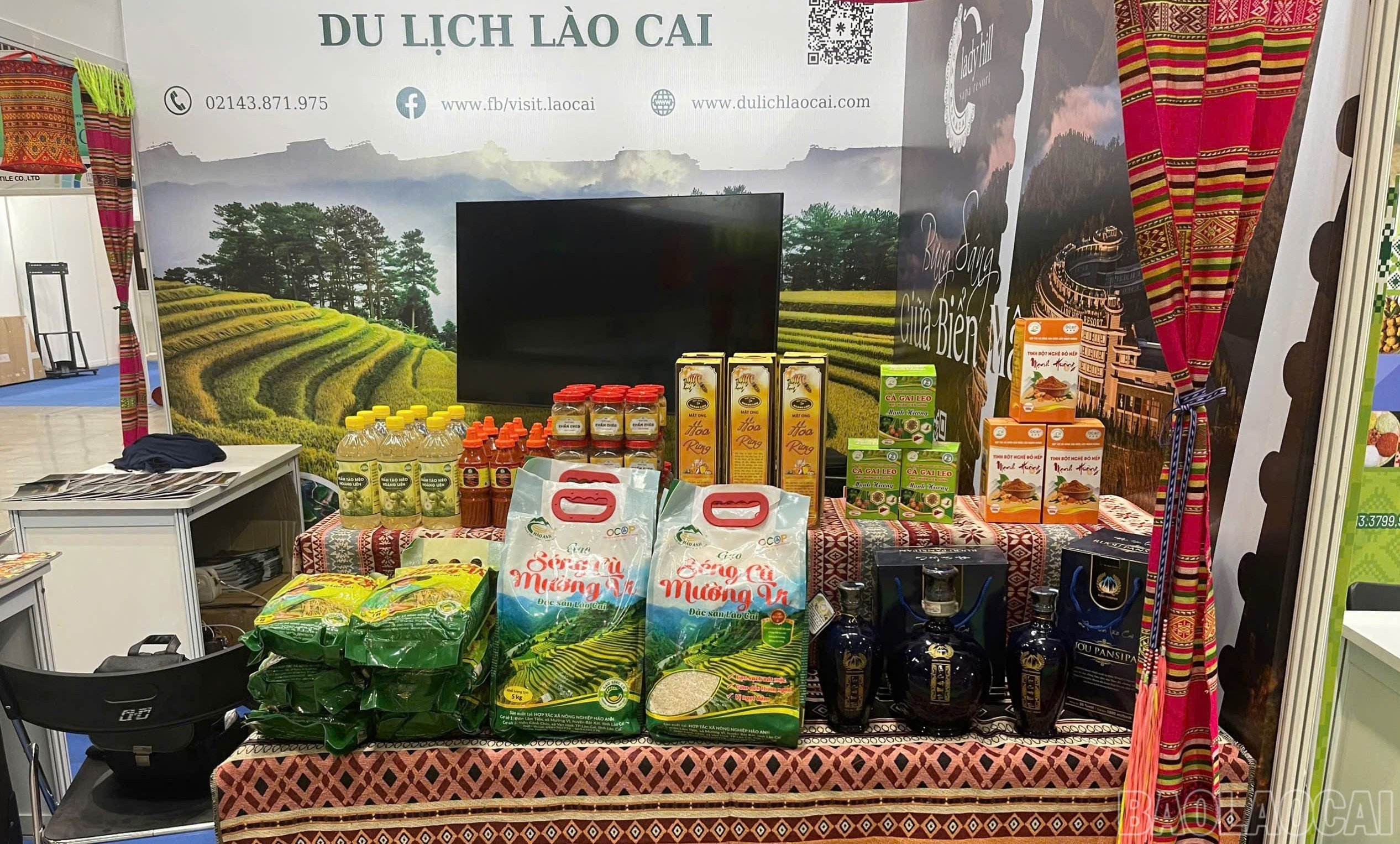 baolaocai-br_17.jpg