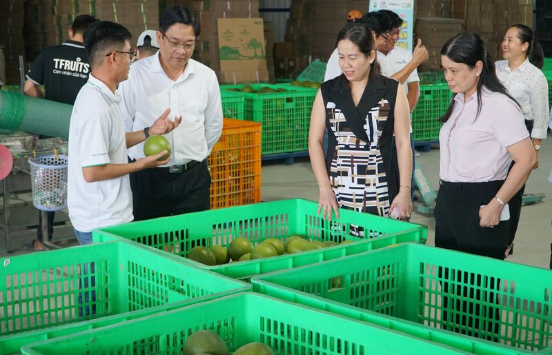Tìm đầu ra ổn định cho nông sản là bài toán cần tháo gỡ cho nông dân và doanh nghiệp.