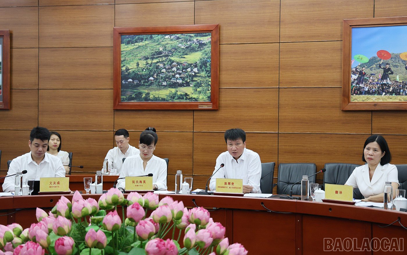 baolaocai-br_img-4329.jpg