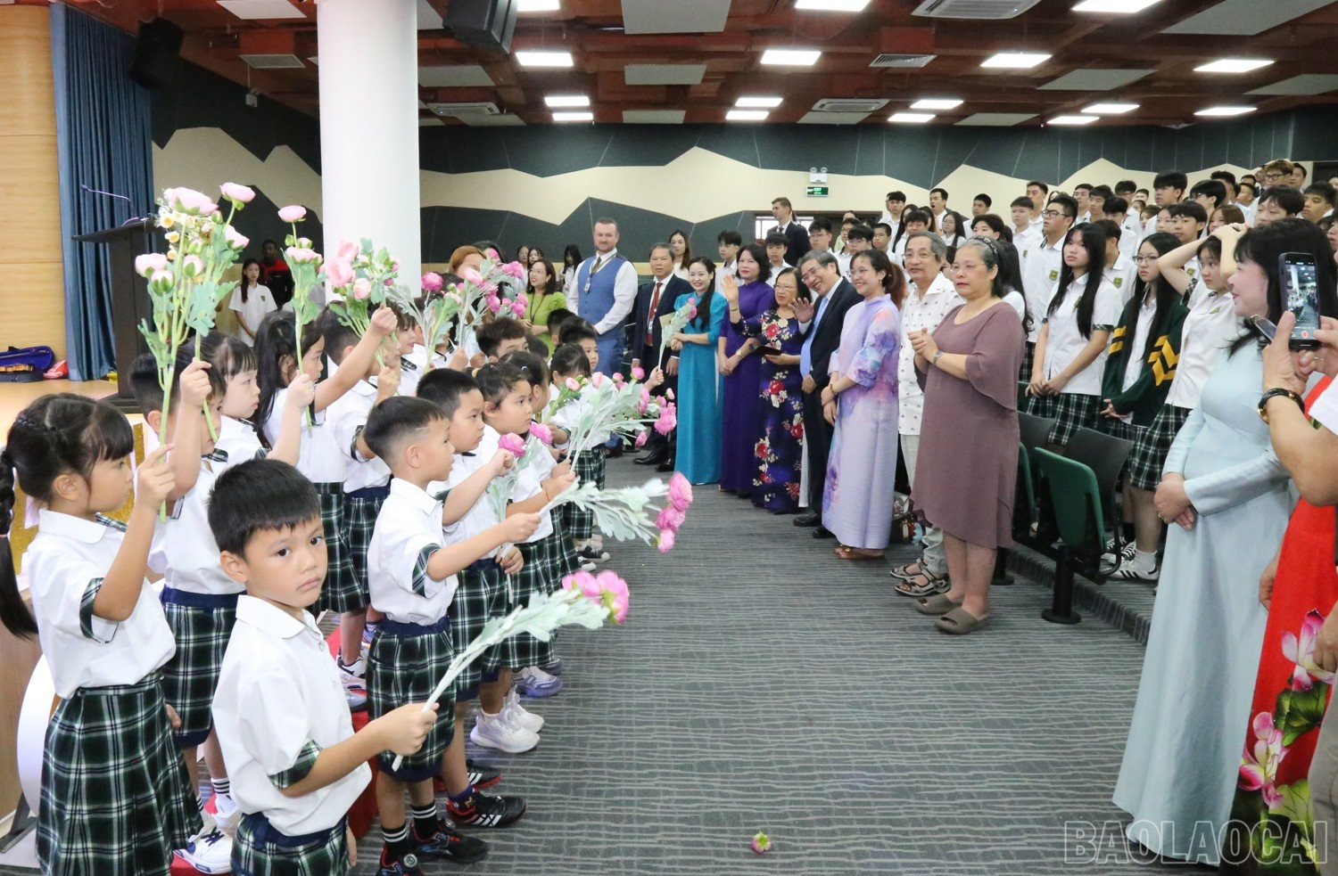 baolaocai-br_img-9071.jpg
