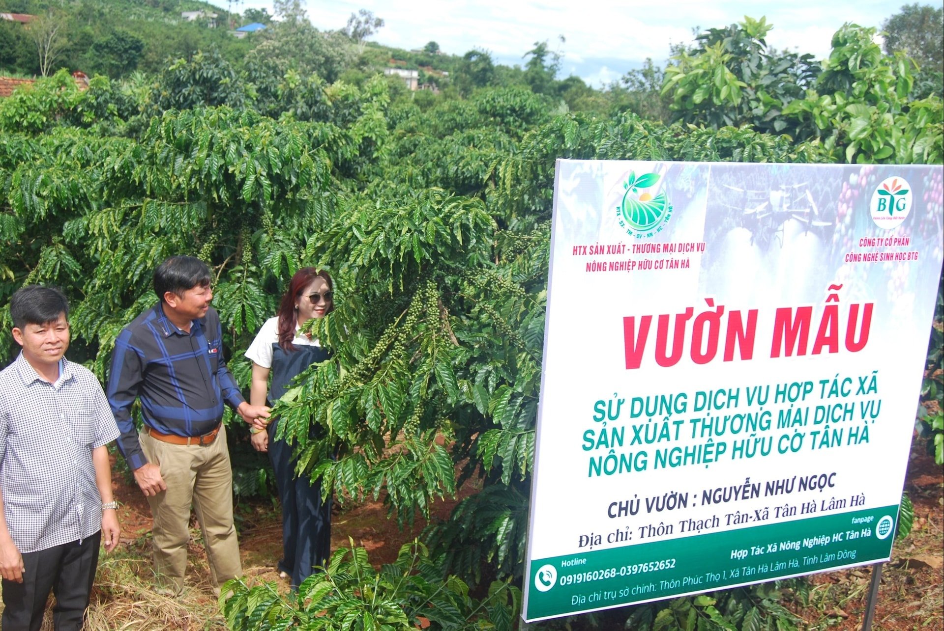 khu-vuon-mau-ca-phe-huu-co-cua-htx-huu-co-tan-ha-dang-ket-trai-sum-sue-2-.jpg