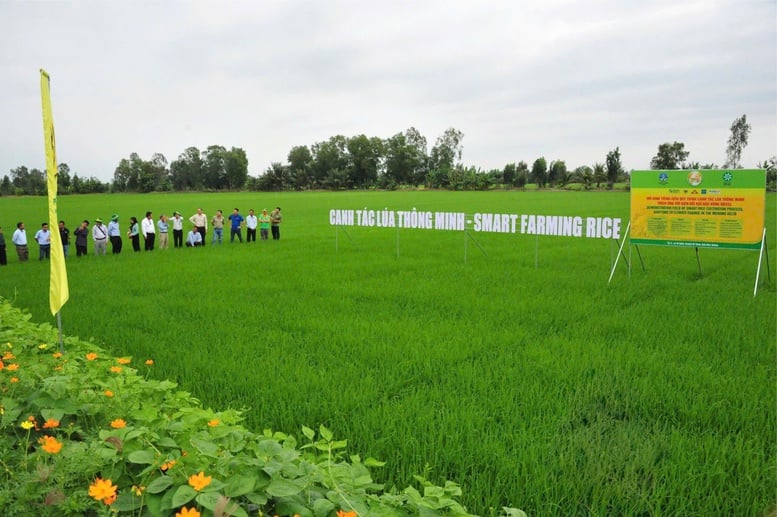 Dau Trau Bio-Calcium៖ ដើម្បីកសិកម្មនិរន្តរភាព - រូបថត ៣.