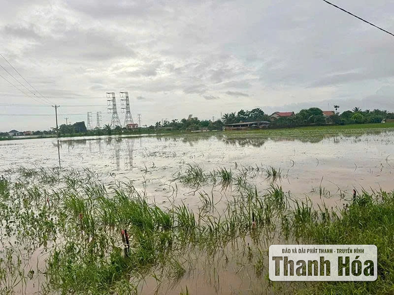 ការ​សាងសង់​ប្រព័ន្ធ​ធារាសាស្ត្រ និង​ប្រព័ន្ធ​លូ​ដំបូង​សម្រាប់​ឃុំ​: Nga An, Tan Tien, Ho Vuong