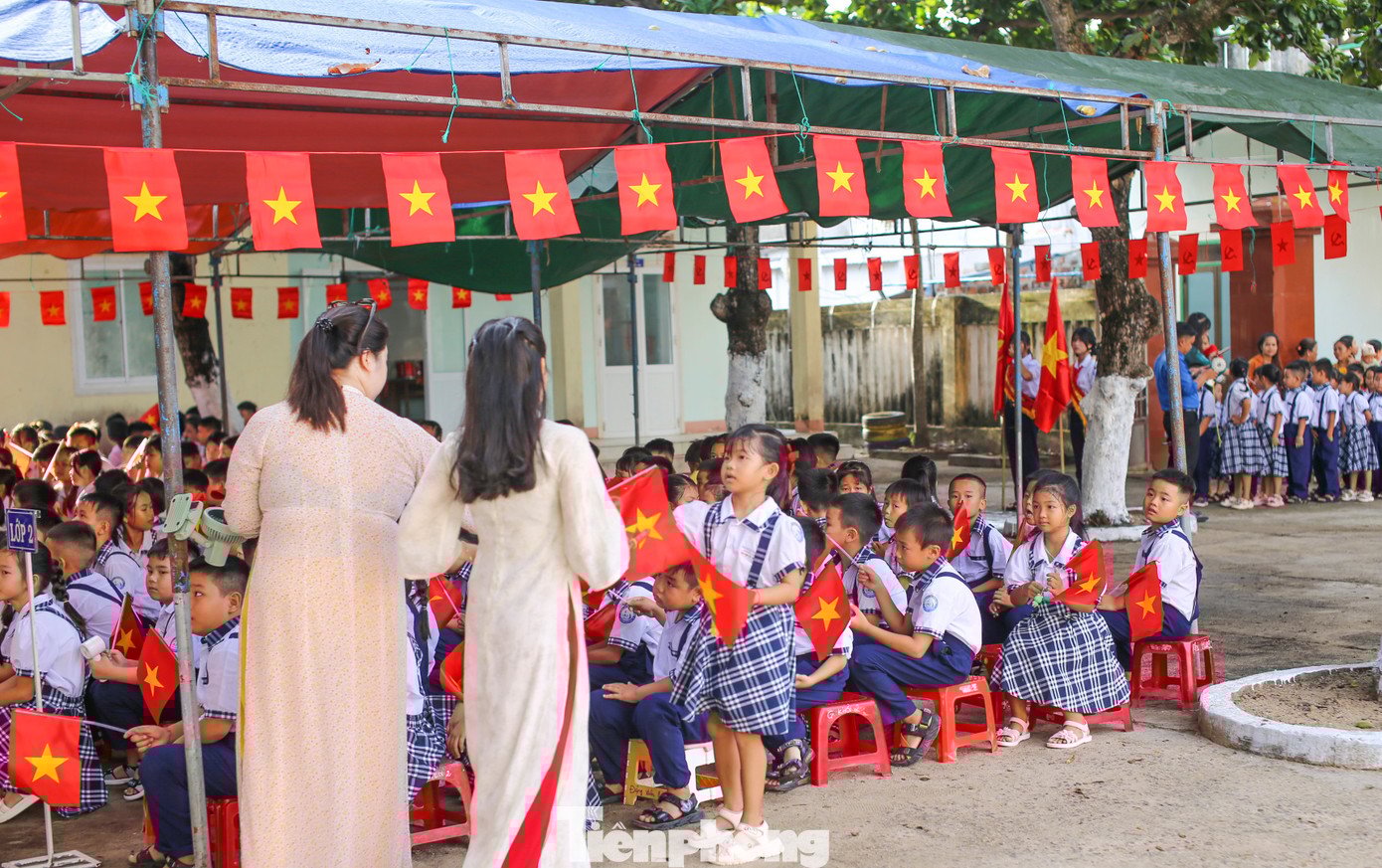 tp-kg3.jpg