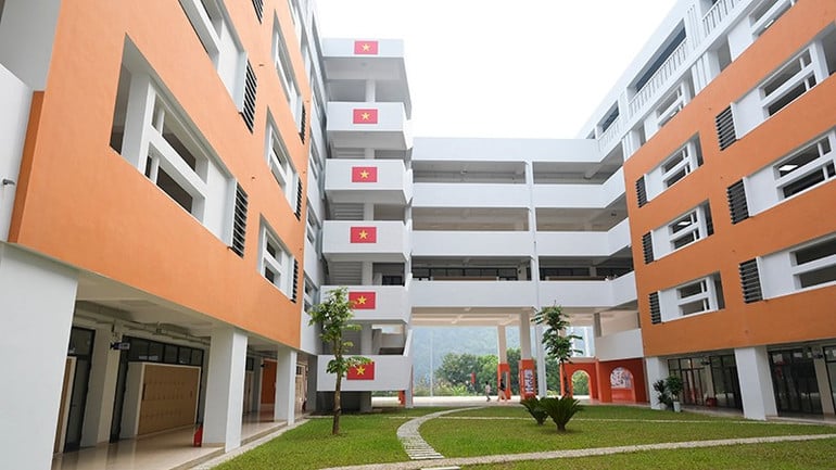 hai-4230.jpg