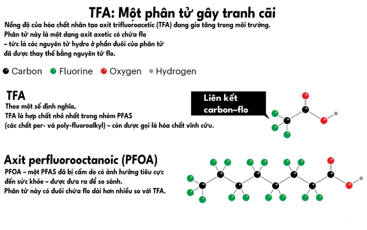 Cấu trúc phân tử của TFA. (Ảnh: Nature, chuyển ngữ: VTC News)