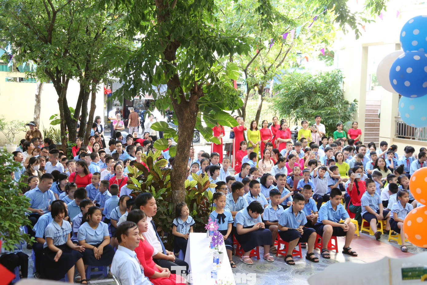 tp-truongchuyenbietimg-9504-2.jpg