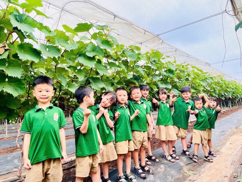 Phát triển sản phẩm OCOP từ vùng đất bãi- Ảnh 2.