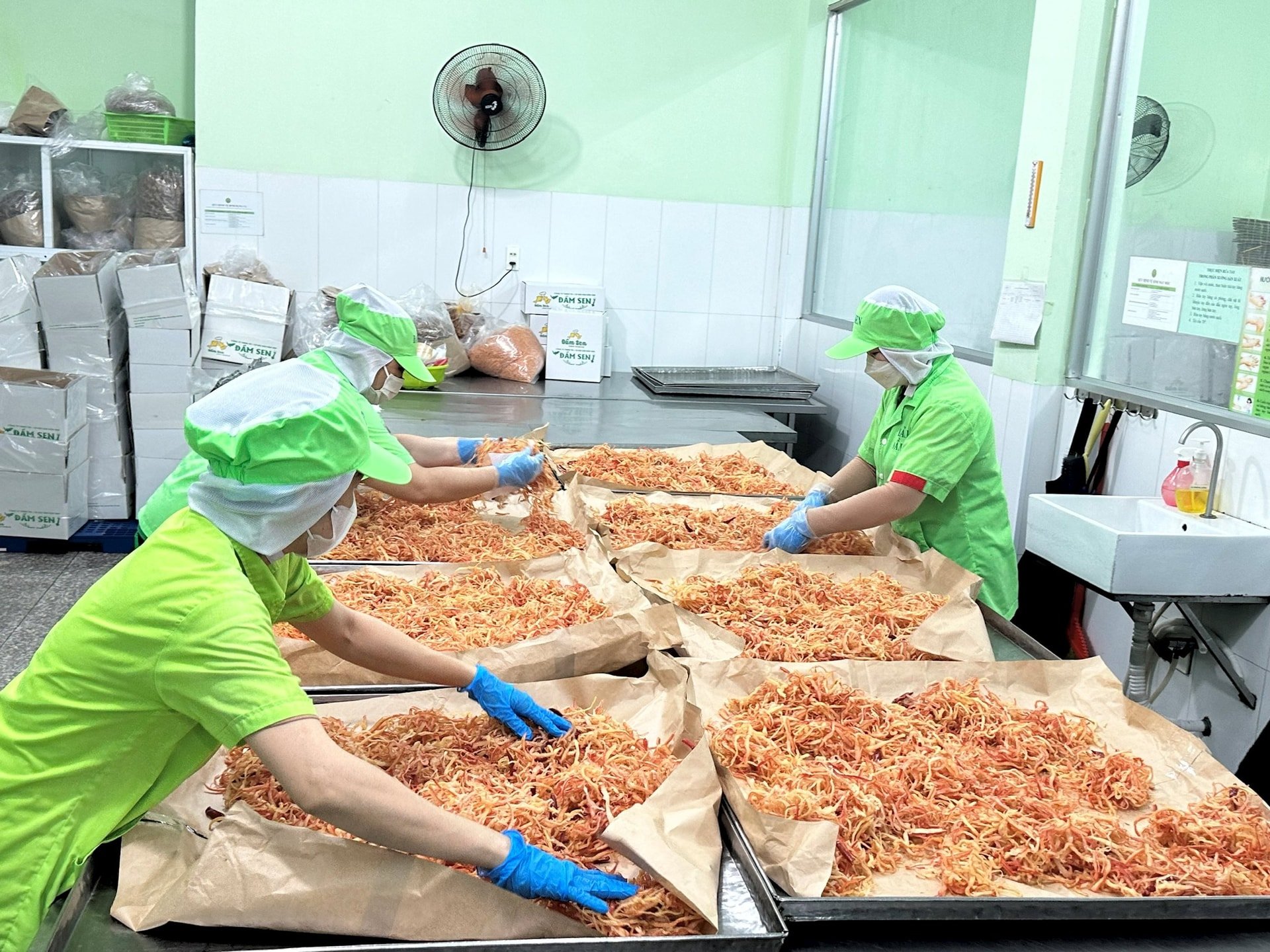Ontwikkeling van de visserijsector in de wijk Phan Thiet