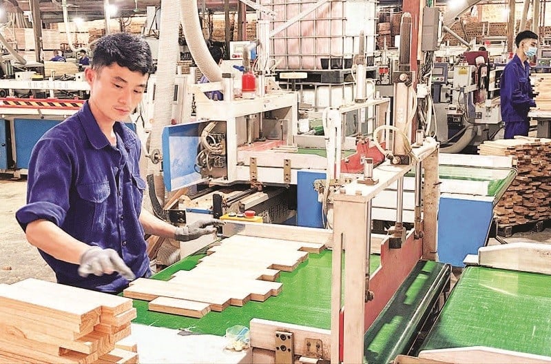 Pekerja Perusahaan Swasta Dang Khoa (Komune Tran Yen, Wilayah Lao Cai) produk lengkap. (Foto: QUANG THIEU)