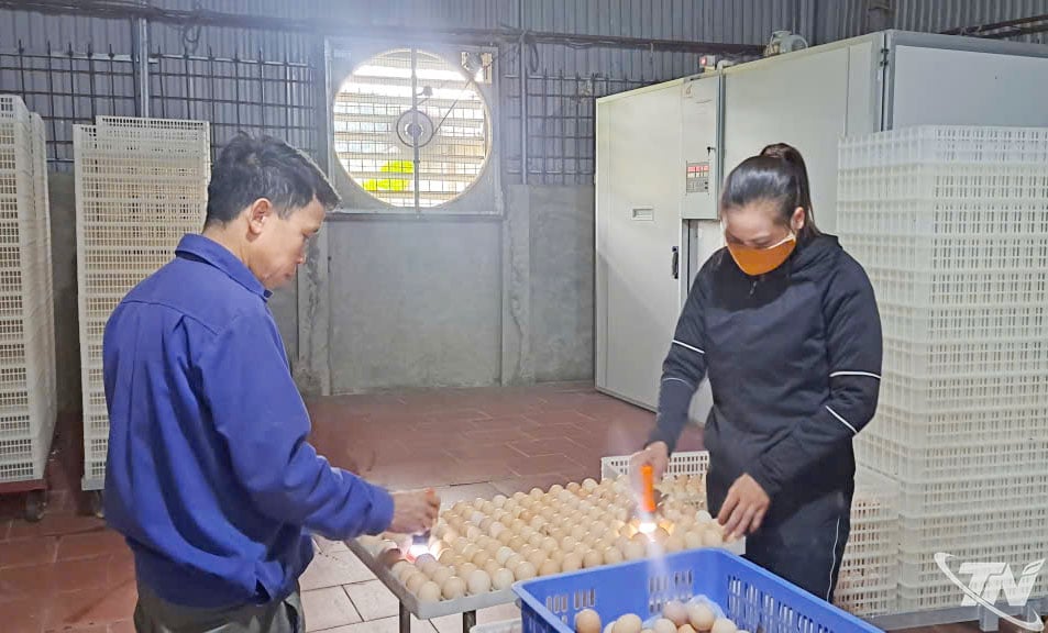 ម៉ាស៊ីនភ្ញាស់ស្វ័យប្រវត្តចំនួន 13 ត្រូវការកម្មករតែ 2 នាក់ប៉ុណ្ណោះដើម្បីដំណើរការ។