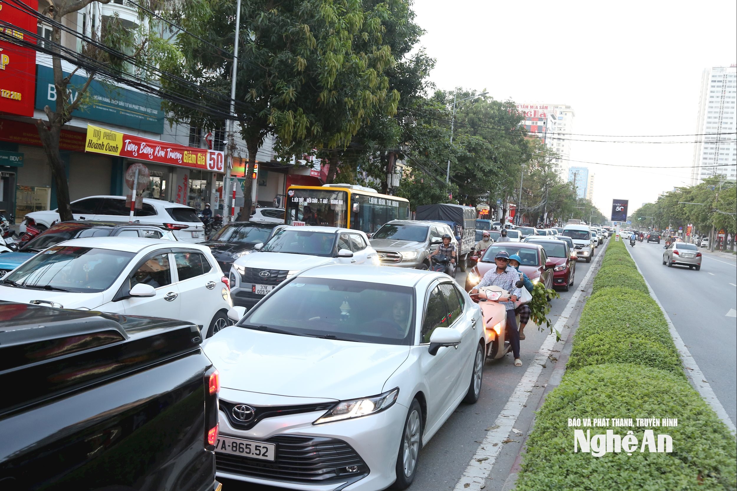 រូបថត៖ Dinh Tuyen