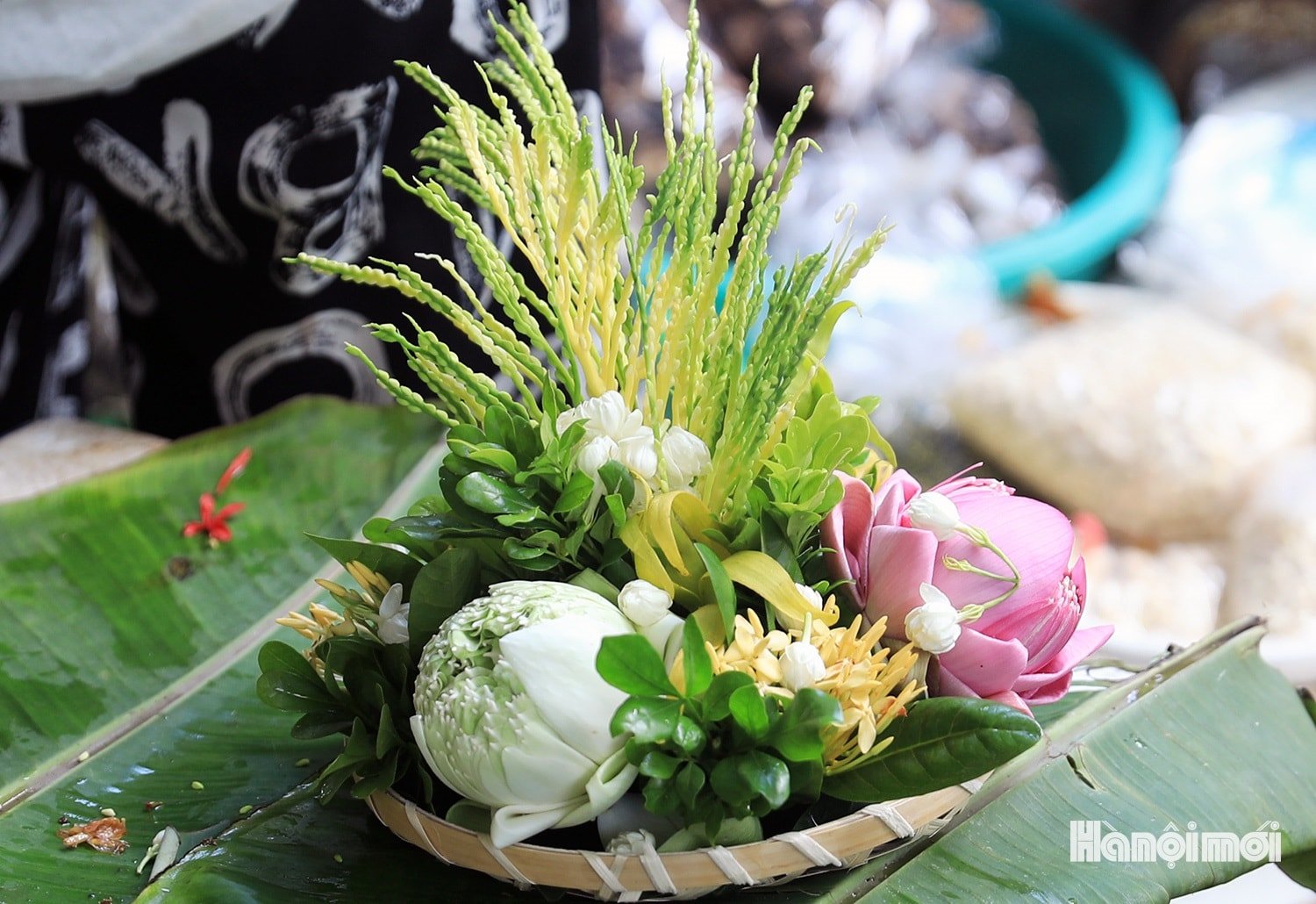 W_thi-truong-ngay-ram-6.1.jpg