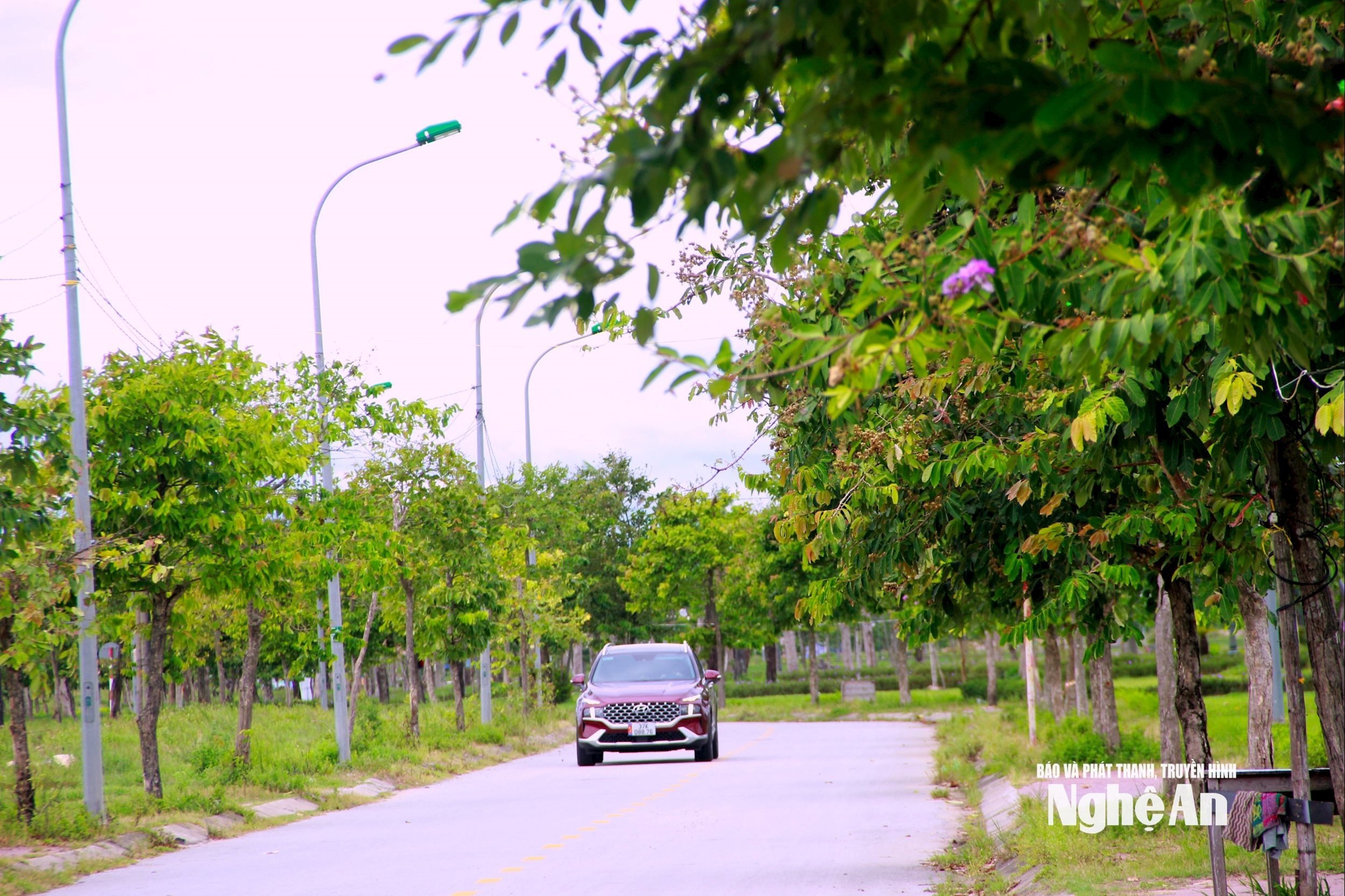 bna_green-road-f6a15846b787a5f7a714f455c3cb10dc.jpg