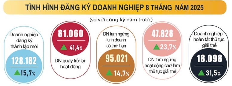 Số doanh nghiệp thành lập mới và quay lại thị trường tăng mạnh- Ảnh 1.
