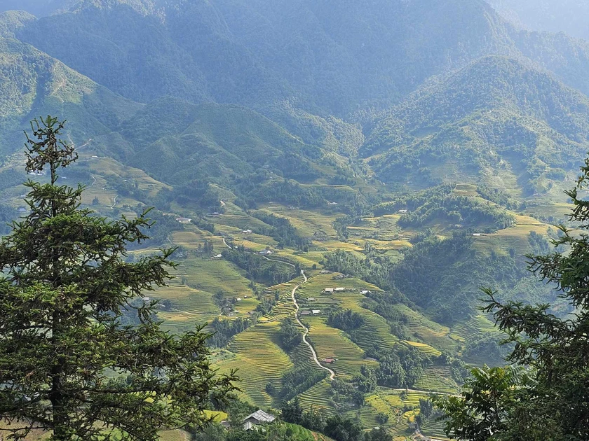 Phong cảnh thiên nhiên của Sa Pa được kết hợp với sức sáng tạo của con người cùng với địa hình của núi đồi, màu xanh của rừng, như bức tranh có sự sắp xếp theo một bố cục hài hòa tạo nên tạo nên vùng đất xinh đẹp với cảnh sắc đầy thơ mộng.