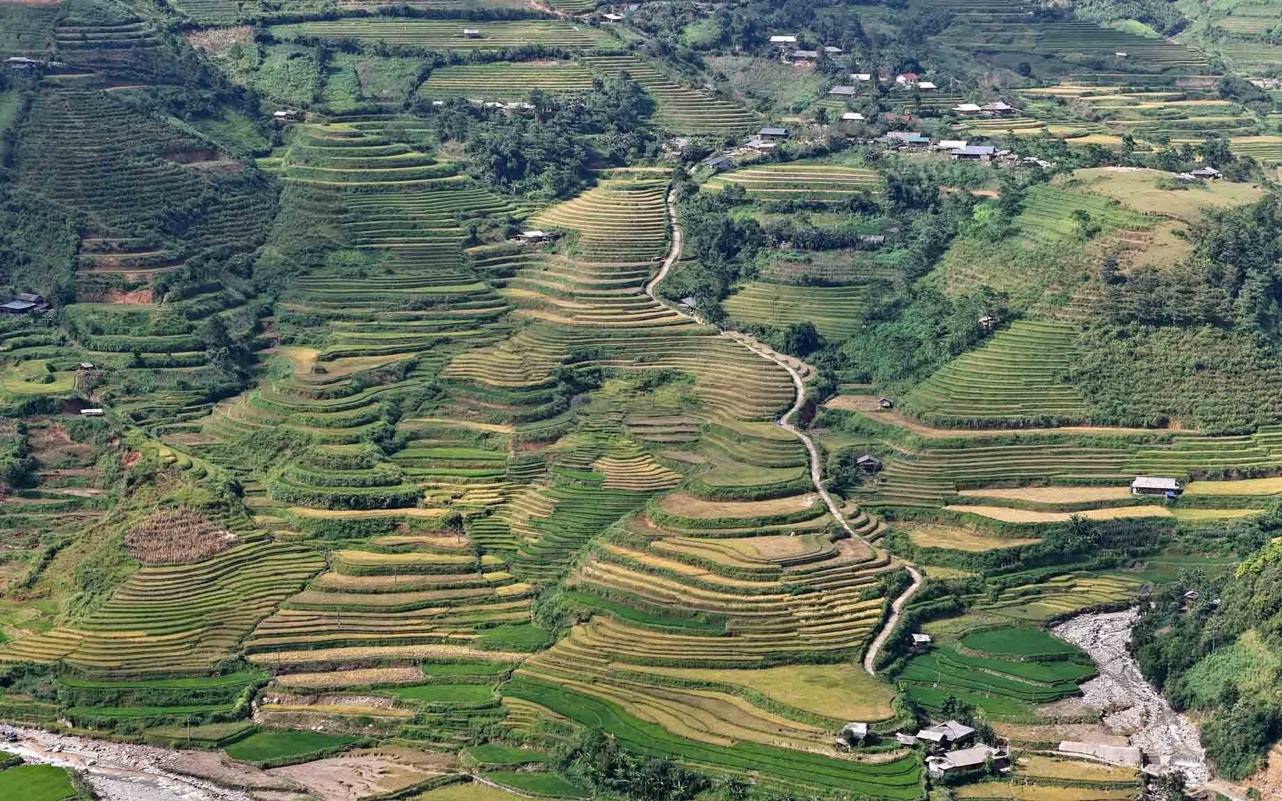 Từ trên cao, khung cảnh ruộng bậc thang xếp tầng dưới chân đèo hiện ra rõ nét, mang lại cho du khách cảm giác vừa thư thái, vừa choáng ngợp.