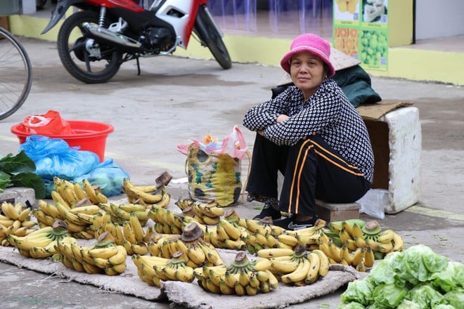Tháng Tám, giá quả tươi và chế biến giảm 1,51%. Ảnh: Vietnam+)