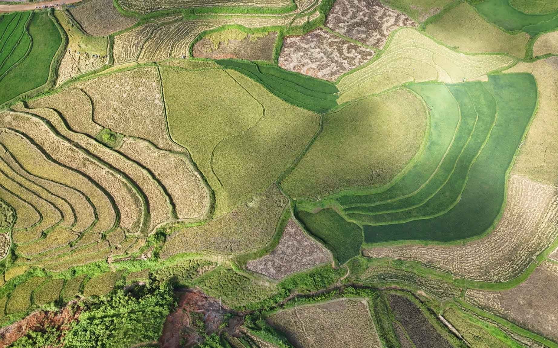 Thời điểm giữa tháng 9 thường là lúc lúa chín rộ, thu hút đông đảo khách du lịch trong và ngoài nước. Chính vì vậy, việc lập kế hoạch sớm và đăng ký trước sẽ giúp hạn chế tình trạng chờ đợi.
