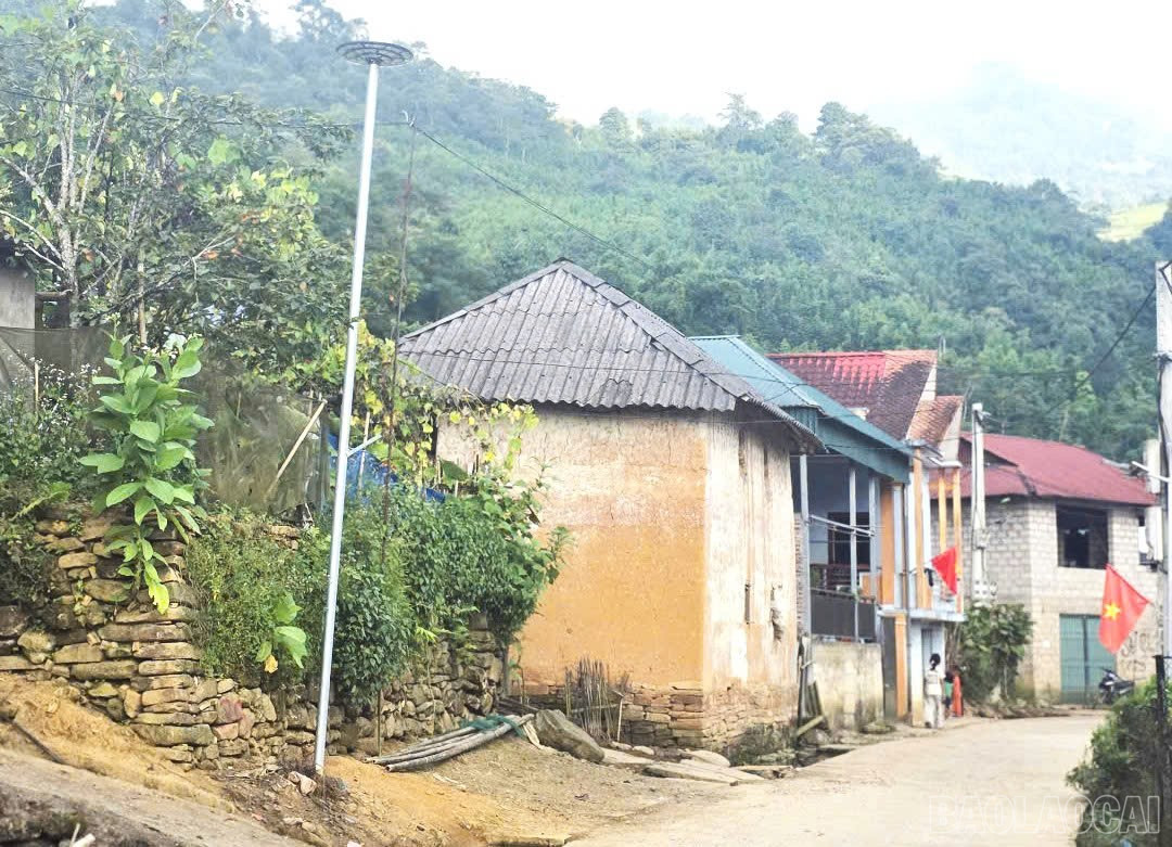 baolaocai-br_1-705.jpg