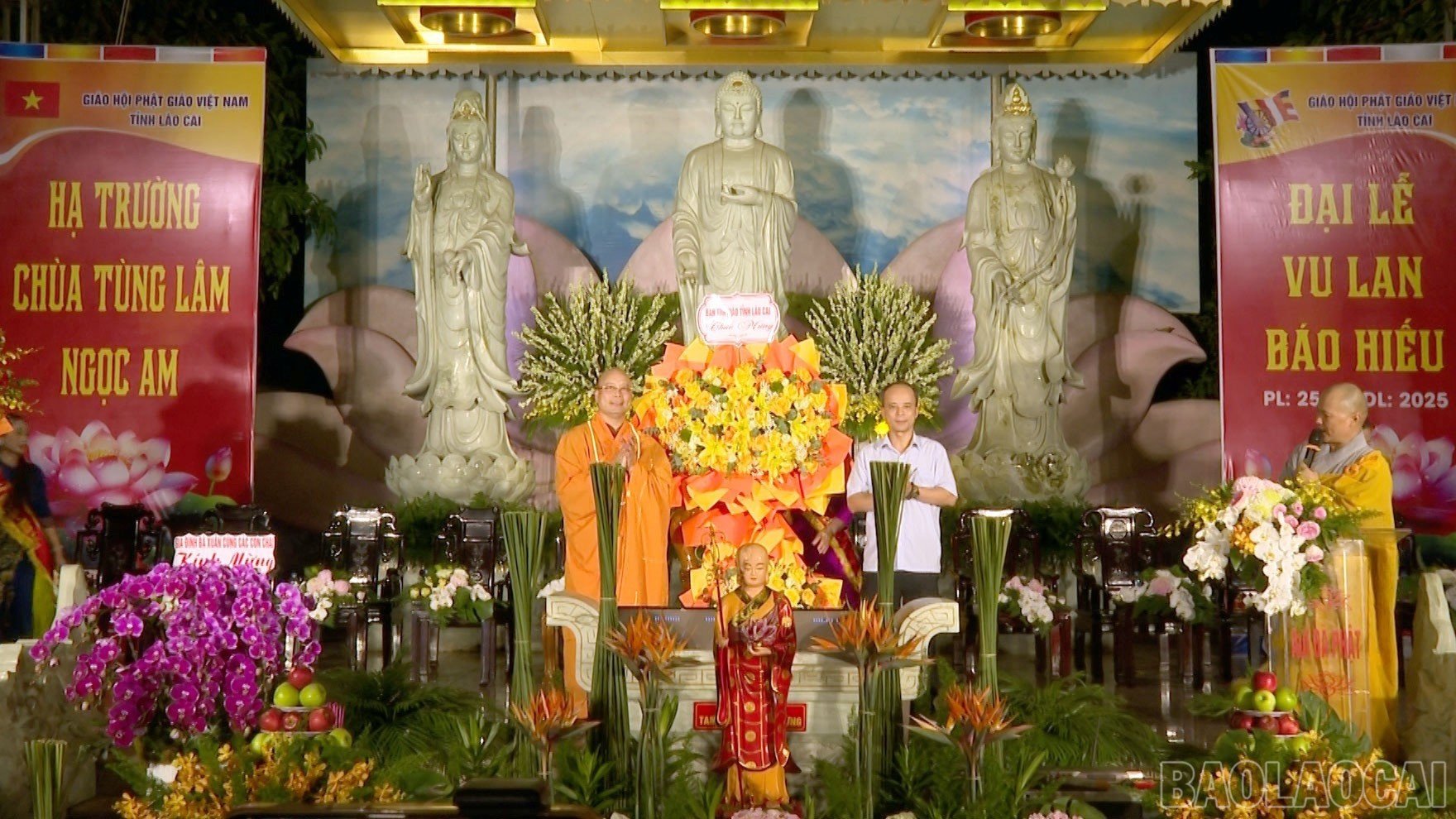 baolaocai-br_anh-phong-7474.jpg