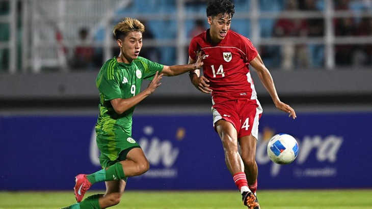Indonesia - Ảnh 1.