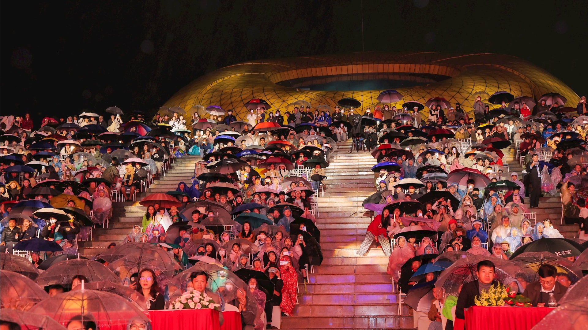 buy-audience-still-watching-dong(1).jpg