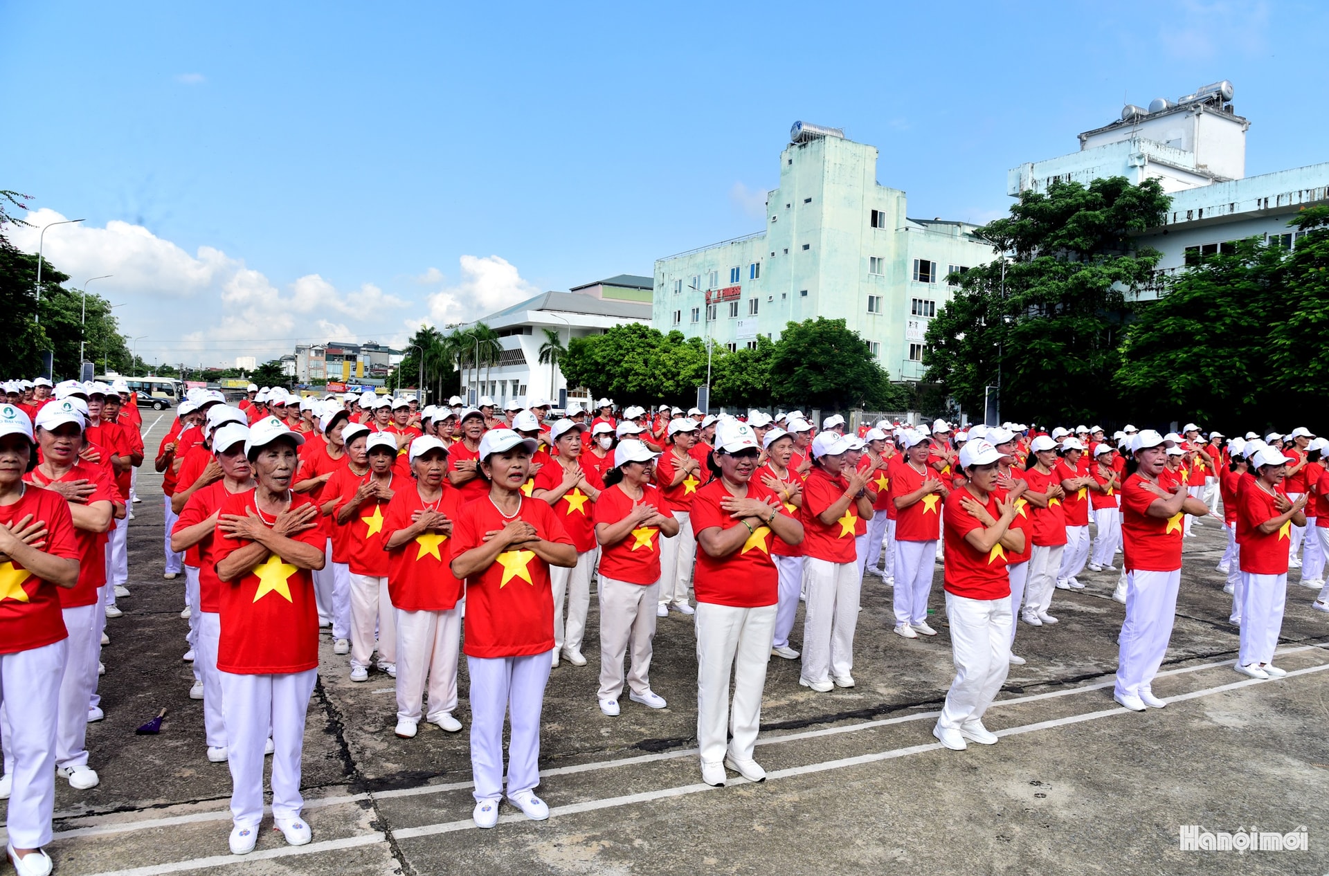 W_duc_0809.jpg
