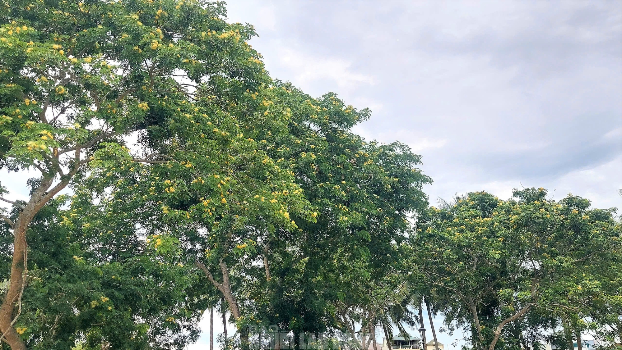 Sau phim Mưa đỏ, cùng ngắm Thành cổ Quảng Trị trong sắc xanh cỏ non- Ảnh 15.