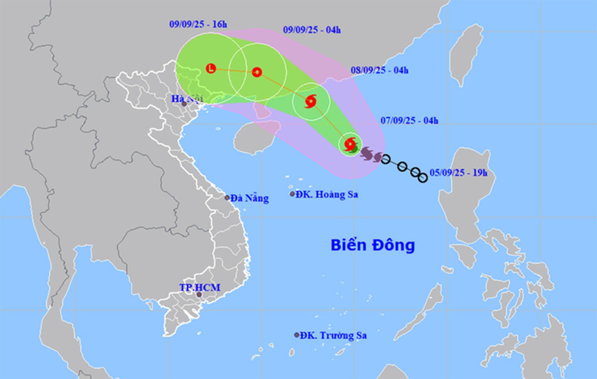 7-9-bao7.jpg
