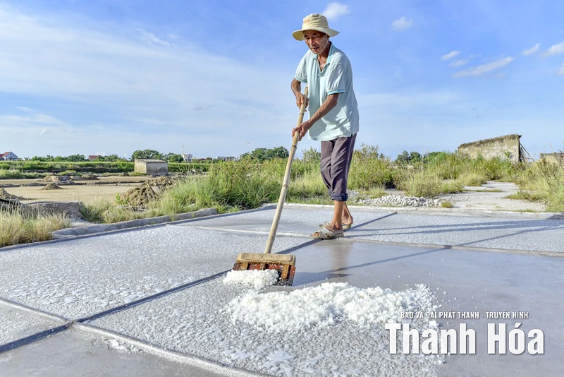 ឧស្សាហកម្មអំបិលមិនស្ថិតស្ថេរជាមួយព្រះអាទិត្យ និងភ្លៀង។