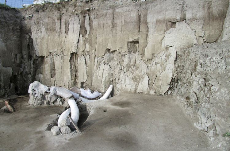 2-5254.jpg