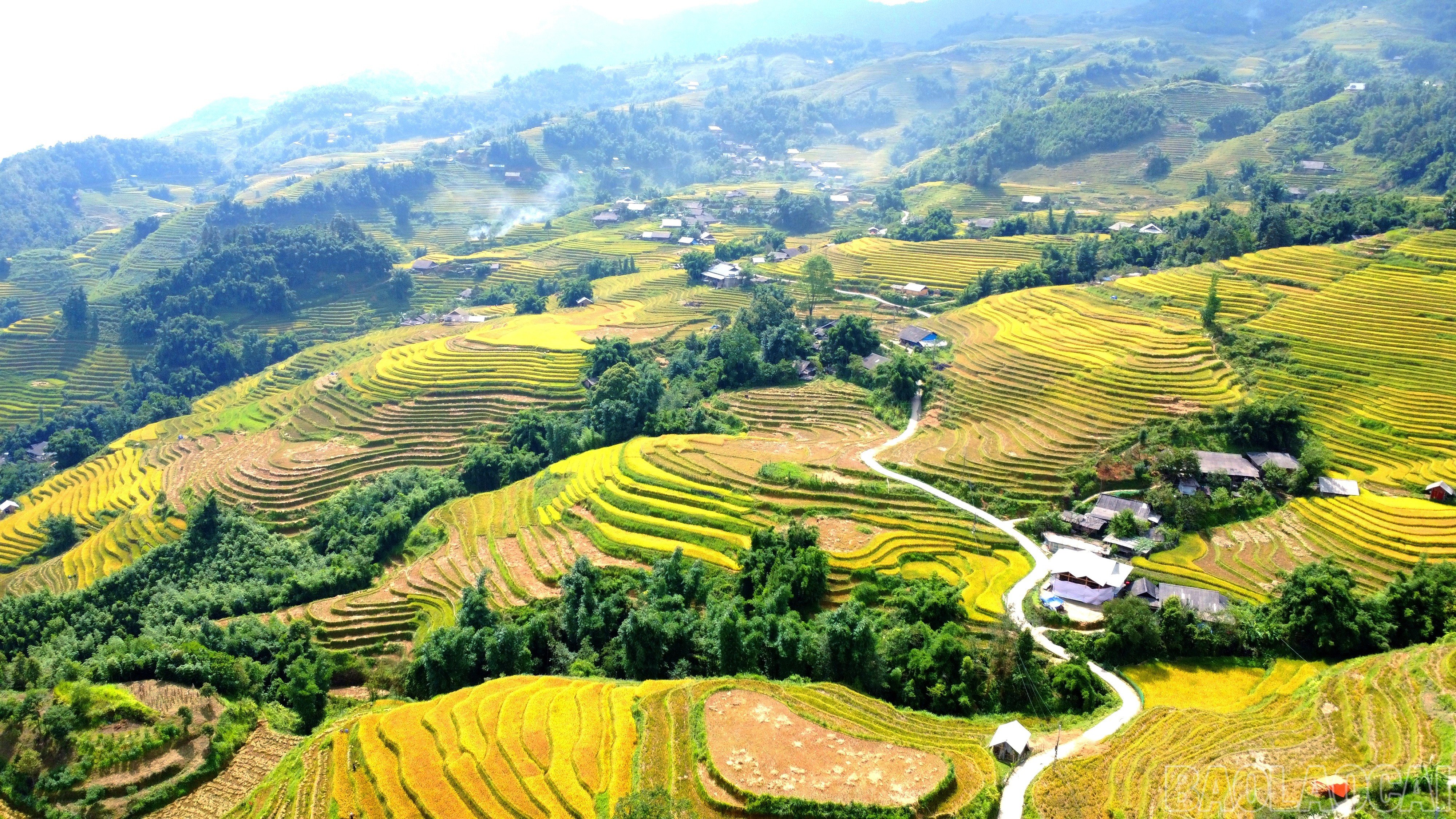 Nếu lấy phường Sa Pa (tỉnh Lào Cai) là điểm xuất phát, đi từ Sa Pa xuống xã Tả Van (tỉnh Lào Cai) nhìn bên phải có một bản làng nhỏ nằm xen lẫn những thửa ruộng bậc thang vàng rực rỡ đó chính là Ý Lình Hồ.