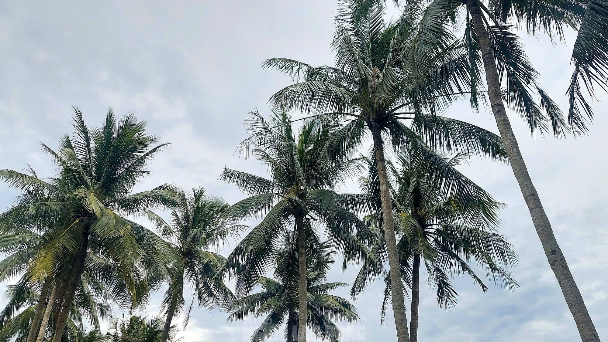 Sau phim Mưa đỏ, cùng ngắm Thành cổ Quảng Trị trong sắc xanh cỏ non- Ảnh 14.