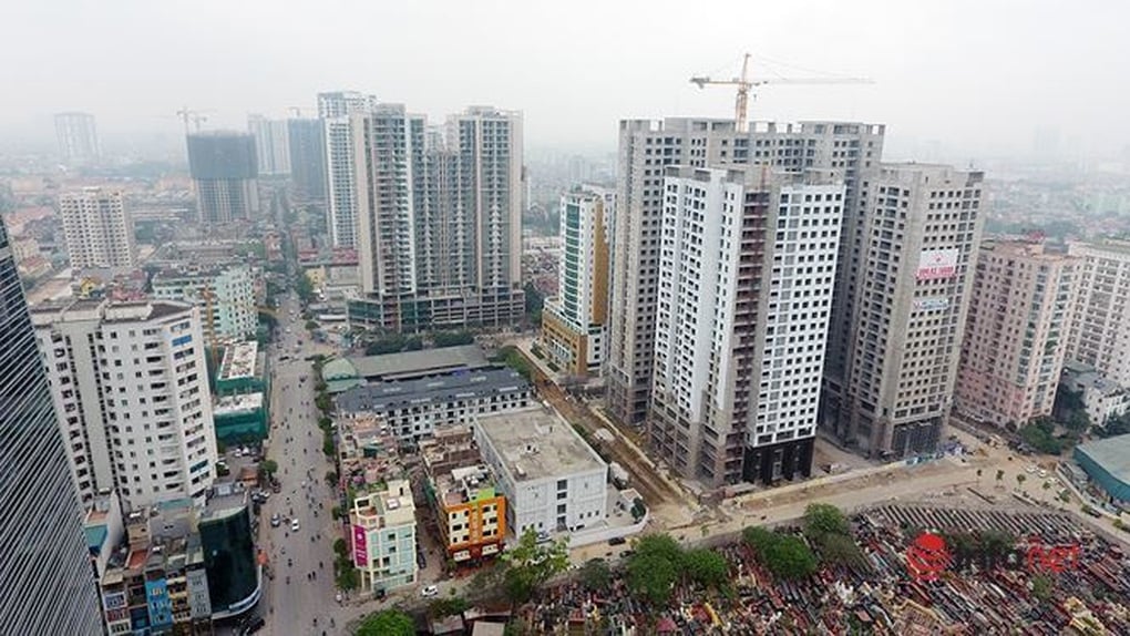 Novaland, Quốc Cường Gia Lai... bị nghi ngờ khả năng hoạt động liên tục - 1