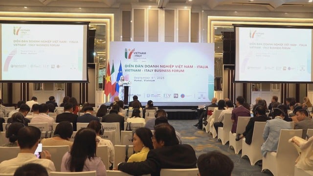 Hợp tác Italia – Việt Nam: Kết nối B2B theo ngành mở rộng cơ hội vàng - Ảnh 1.
