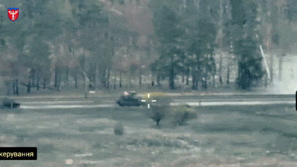 5.gif