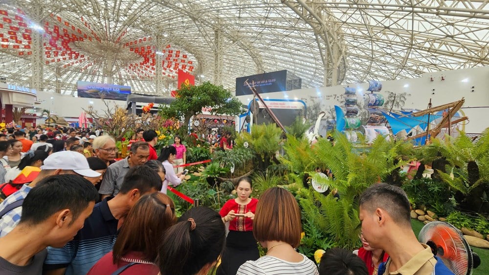 quang,ngai,8,edch,10164808.jpg
