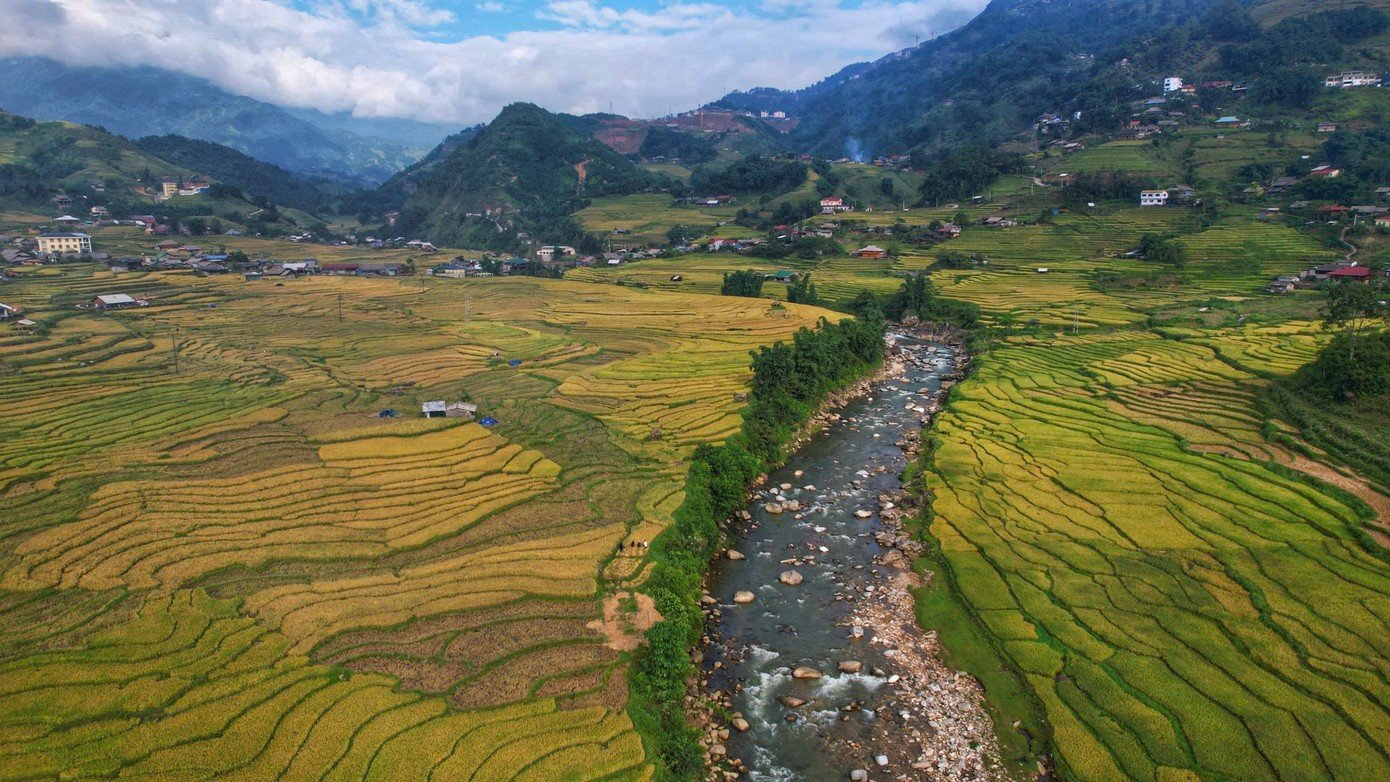 mới được thành lập trên cơ sở sáp nhập 3 xã Hoàng Liên, Mường Hoa và Tả Van (thuộc thị xã Sa Pa trước đây). Nơi đây ôm trọn thung lũng Mường Hoa tuyệt đẹp cùng nhiều bản du lịch cộng đồng nổi tiếng. Những thửa ruộng bậc thang ở Tả Van đã được công nhận là Danh lam thắng cảnh và Di tích quốc gia, trở thành niềm tự hào của người dân địa phương.
