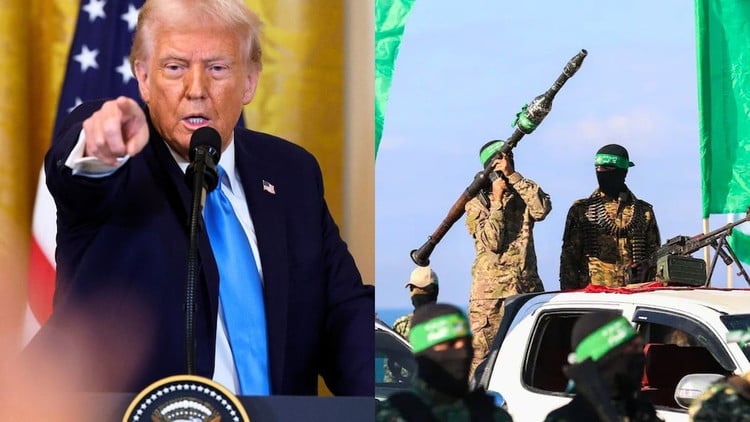 trump1.png