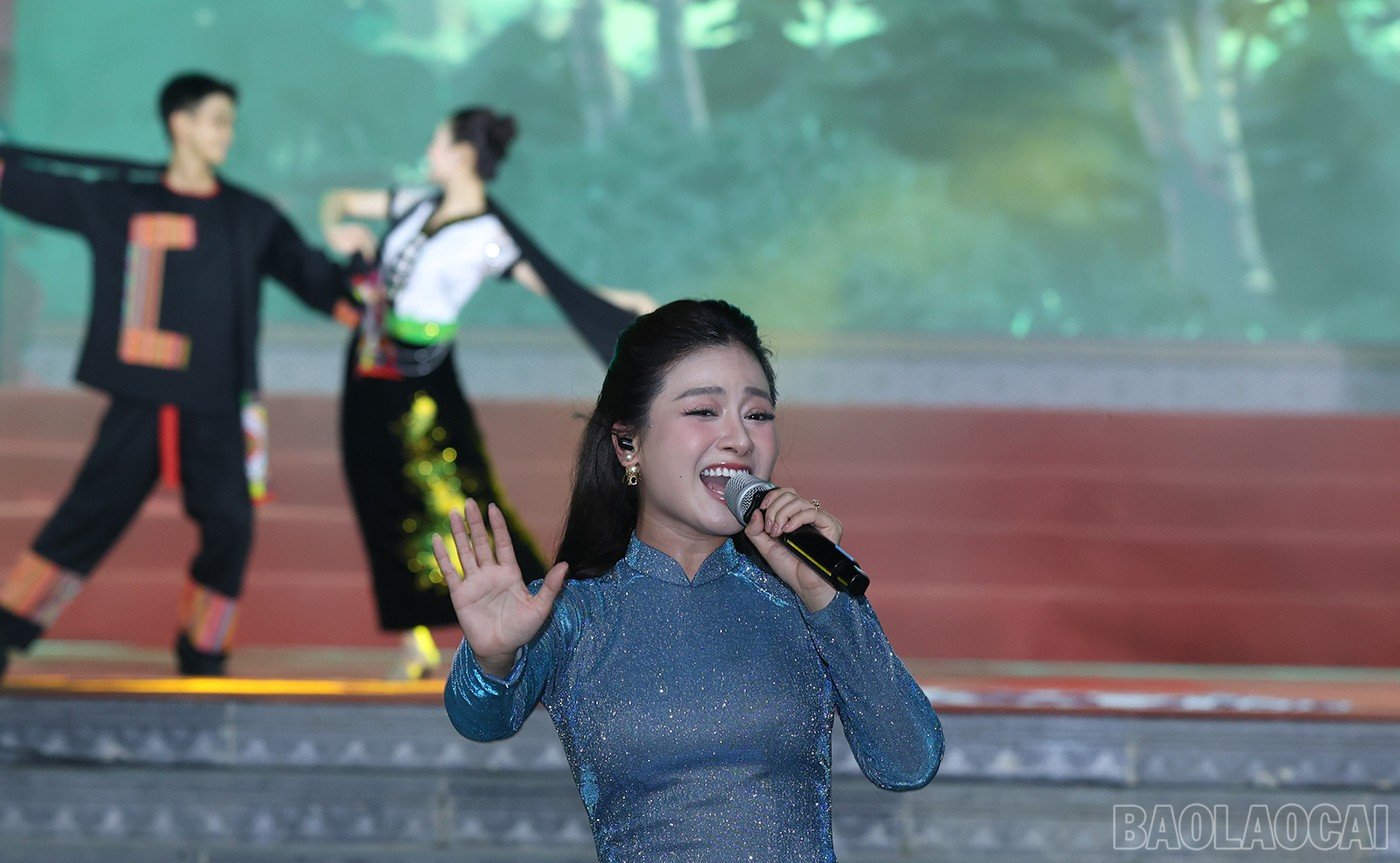 baolaocai-br_img-4709.jpg