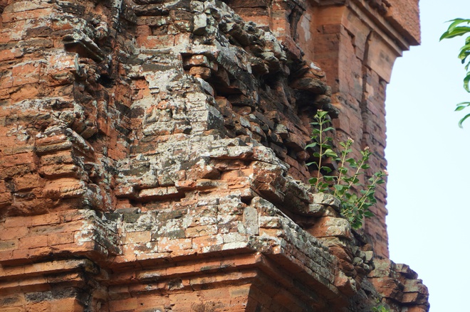 Ngắm tháp Chăm ngàn năm tuổi, cổ nhất ở Gia Lai- Ảnh 21.