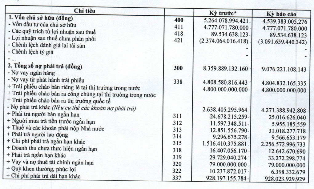 Công ty của Trương Mỹ Lan: Nợ hơn 9.000 tỷ đồng, kiểm toán từ chối ý kiến - 1