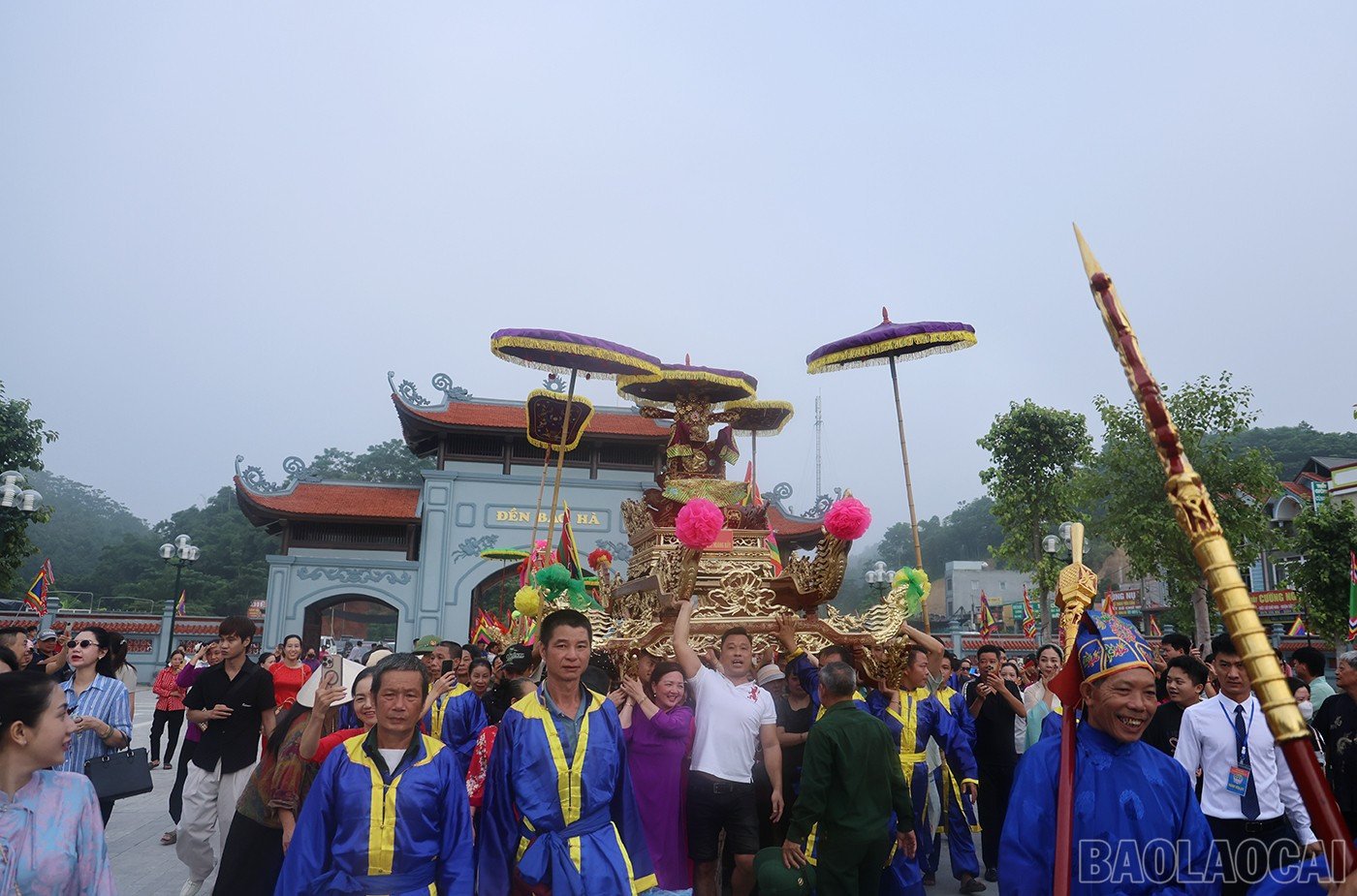 baolaocai-br_lh-17.jpg