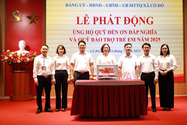 Hướng dẫn mới về tổ chức Quỹ Đền ơn đáp nghĩa theo chính quyền địa phương 2 cấp- Ảnh 1.