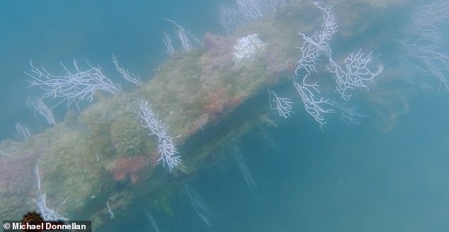 phoo-2.jpg
