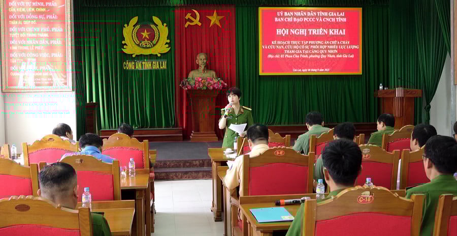 quang-canh-buoi-trien-khai-phuong-an-chua-chay-tai-cang-quy-nhon-1082.jpg