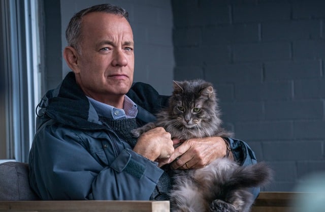 Il presidente Donald Trump ha definito Tom Hanks un